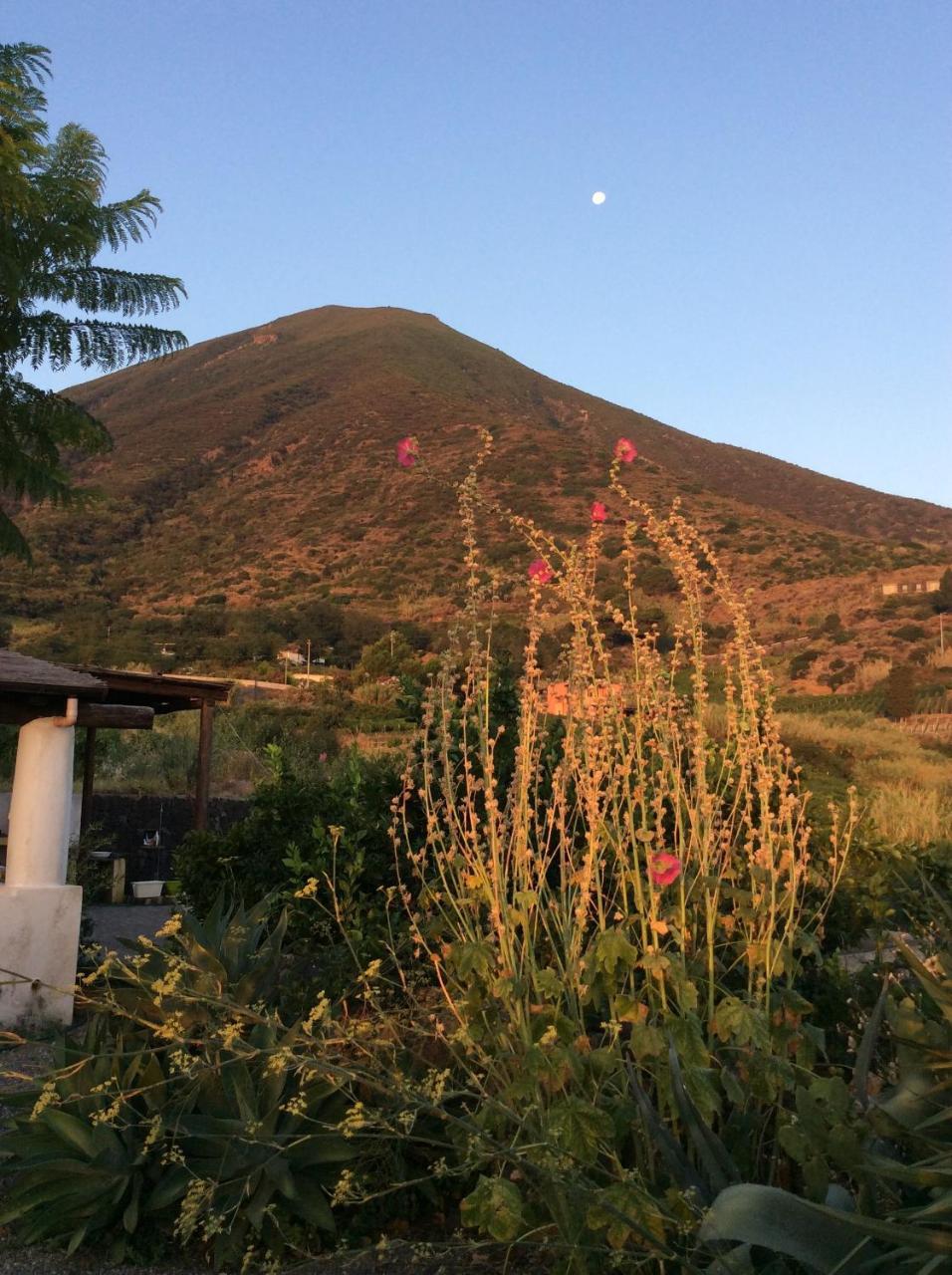 Casa Vacanze Dell'Avvocato Hotel Malfa Kültér fotó