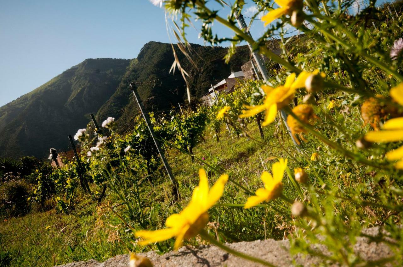 Casa Vacanze Dell'Avvocato Hotel Malfa Kültér fotó